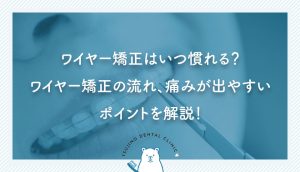 ワイヤー矯正はいつ慣れる？ワイヤー矯正の流れ、痛みが出やすいポイントを解説！｜伊丹の歯医者つじの歯科医院